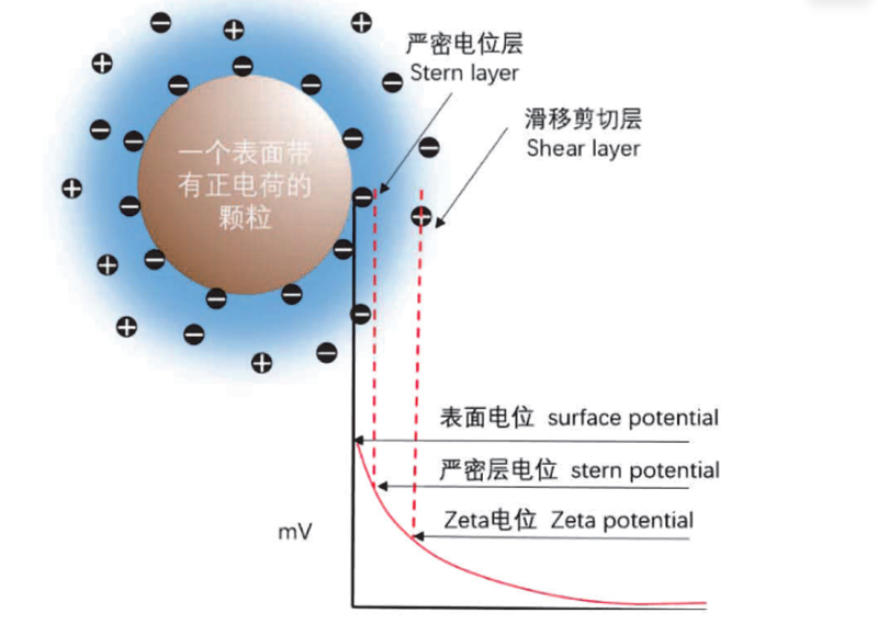 Zeta電位